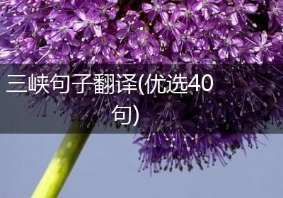 三峡句子翻译(优选40句)