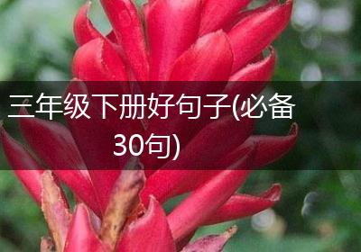 三年级下册好句子(必备30句)