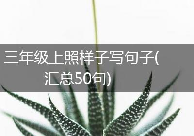 三年级上照样子写句子(汇总50句)