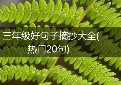 三年级好句子摘抄大全(热门20句)