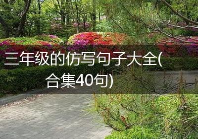 三年级的仿写句子大全(合集40句)