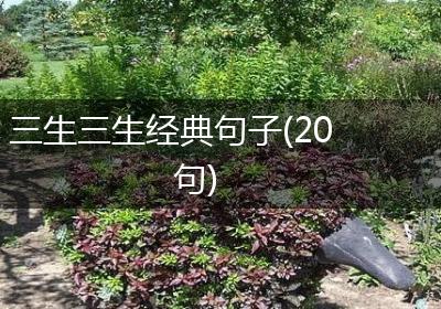 三生三生经典句子(20句)