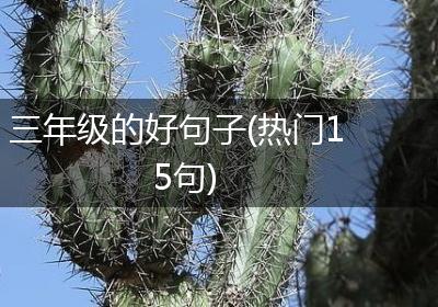 三年级的好句子(热门15句)