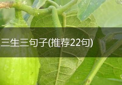 三生三句子(推荐22句)