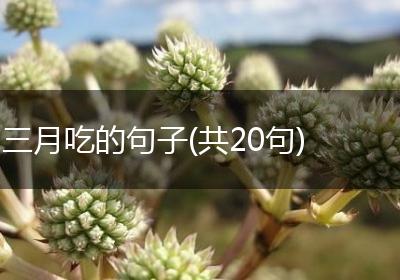 三月吃的句子(共20句)