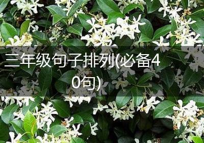 三年级句子排列(必备40句)