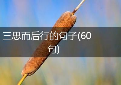 三思而后行的句子(60句)
