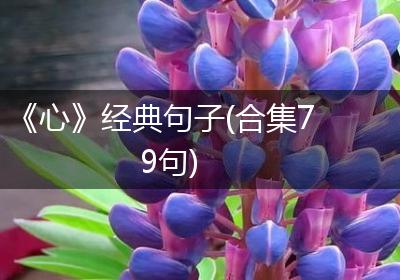 《心》经典句子(合集79句)