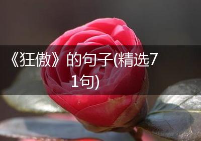 《狂傲》的句子(精选71句)