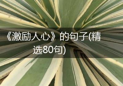 《激励人心》的句子(精选80句)