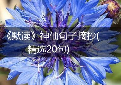 《默读》神仙句子摘抄(精选20句)