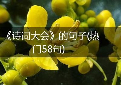 《诗词大会》的句子(热门58句)