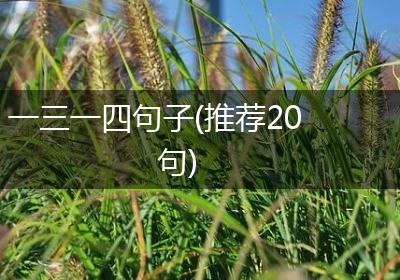 一三一四句子(推荐20句)