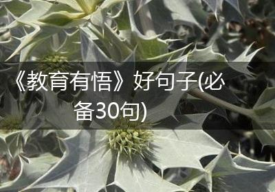 《教育有悟》好句子(必备30句)