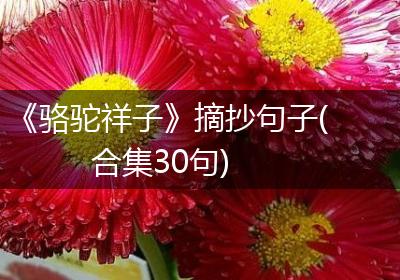 《骆驼祥子》摘抄句子(合集30句)