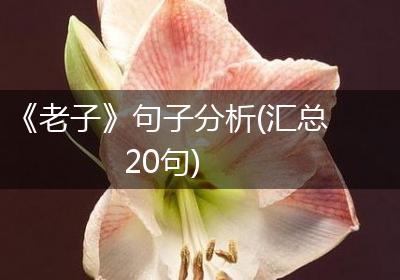 《老子》句子分析(汇总20句)