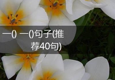一() 一()句子(推荐40句)