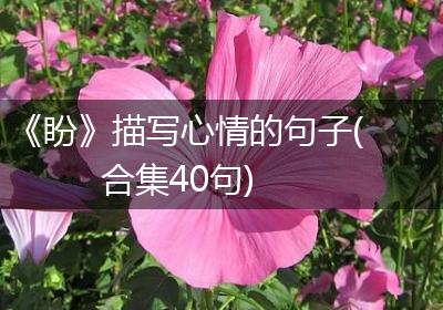 《盼》描写心情的句子(合集40句)
