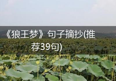 《狼王梦》句子摘抄(推荐39句)