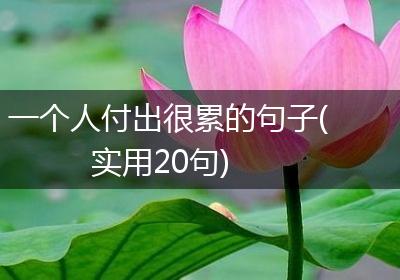 一个人付出很累的句子(实用20句)