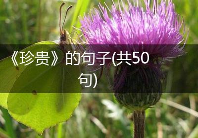 《珍贵》的句子(共50句)