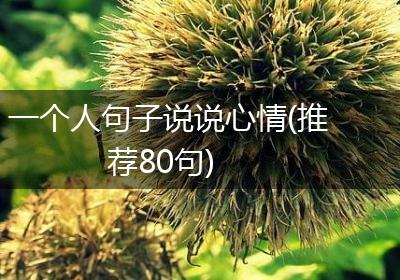 一个人句子说说心情(推荐80句)