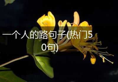 一个人的路句子(热门50句)