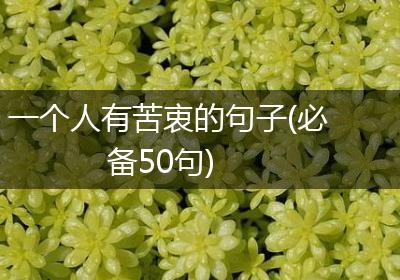一个人有苦衷的句子(必备50句)