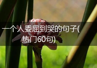 一个人委屈到哭的句子(热门60句)