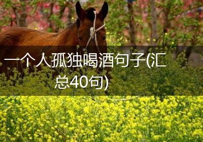 一个人孤独喝酒句子(汇总40句)