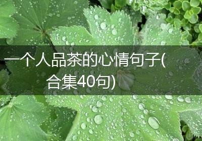 一个人品茶的心情句子(合集40句)