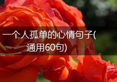 一个人孤单的心情句子(通用60句)