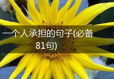 一个人承担的句子(必备81句)