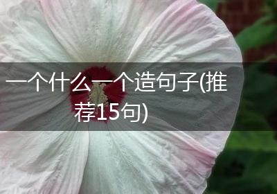 一个什么一个造句子(推荐15句)
