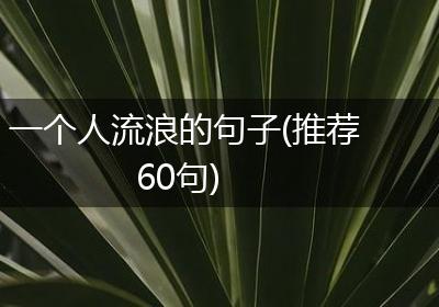 一个人流浪的句子(推荐60句)