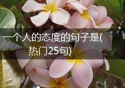 一个人的态度的句子是(热门25句)