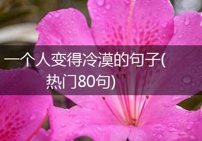一个人变得冷漠的句子(热门80句)
