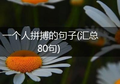 一个人拼搏的句子(汇总80句)