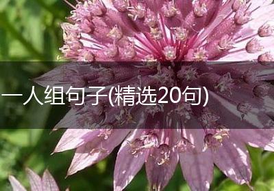 一人组句子(精选20句)