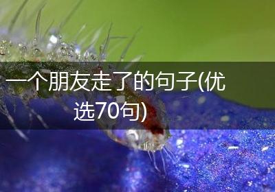 一个朋友走了的句子(优选70句)