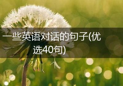 一些英语对话的句子(优选40句)