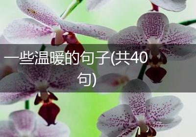 一些温暖的句子(共40句)