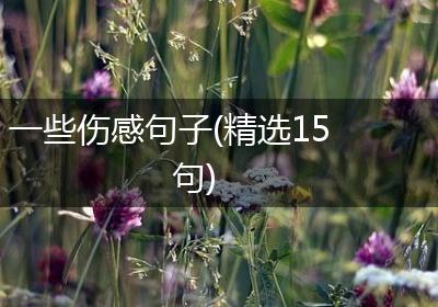 一些伤感句子(精选15句)