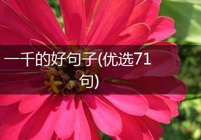 一千的好句子(优选71句)