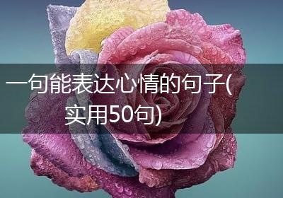 一句能表达心情的句子(实用50句)