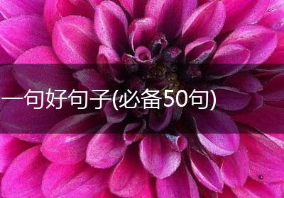 一句好句子(必备50句)