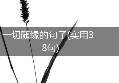 一切随缘的句子(实用38句)