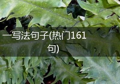 一写法句子(热门161句)