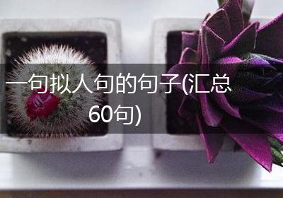 一句拟人句的句子(汇总60句)