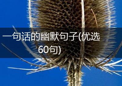 一句话的幽默句子(优选60句)